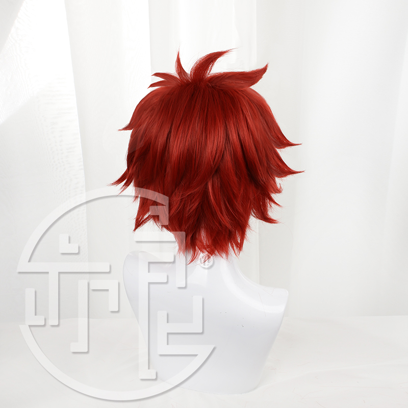 애니메이션 SK8 인피니티 레키 코스프레 가발, 빨간  - Anime Cosplay With Red Hair 리뷰 및 가격