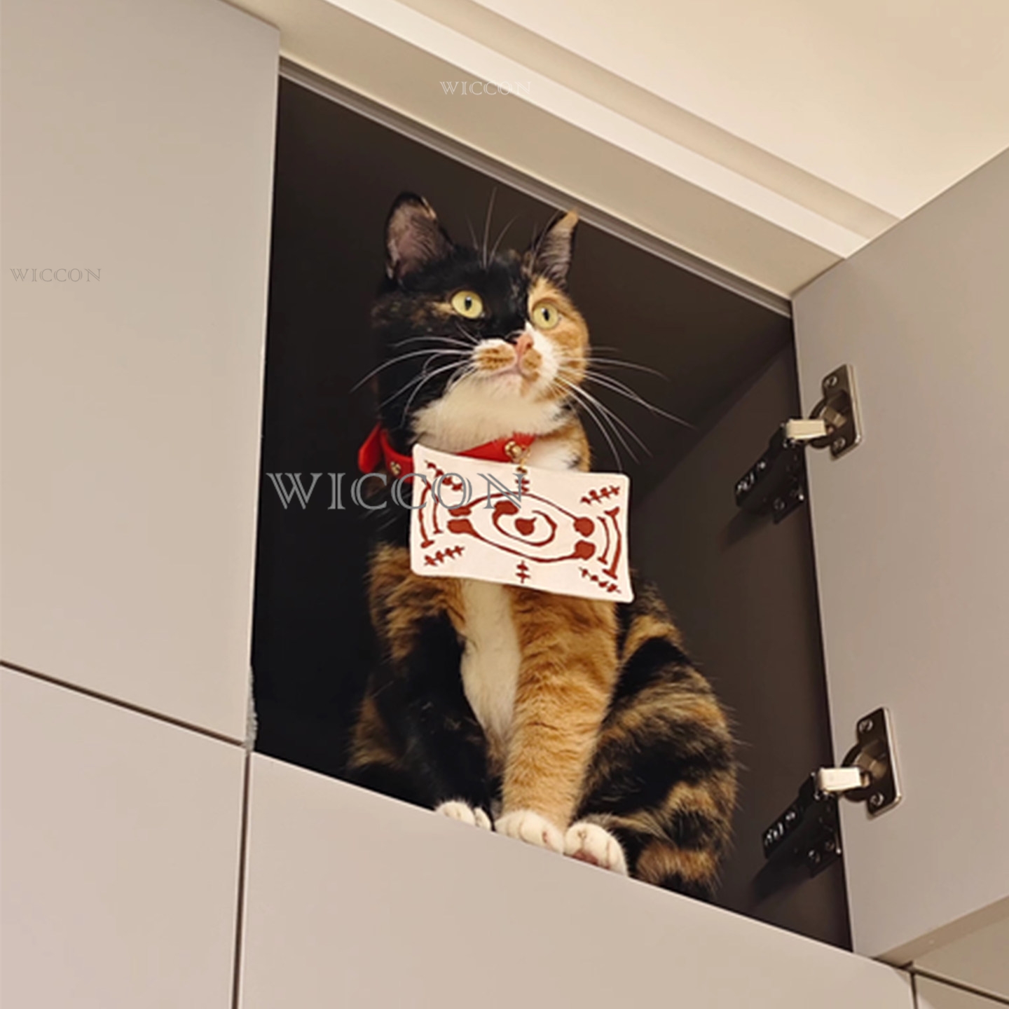 Chachamaru Cat Tamayos 애완 동물 코 - Cosplay Anime Jjk 리뷰 및 가격