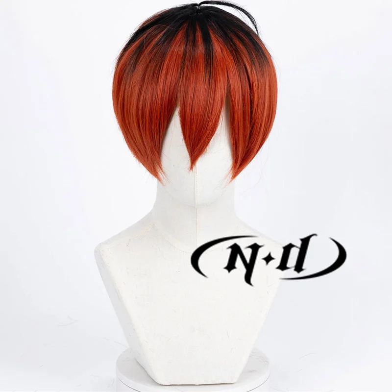 CyND Stark 코스프레 가발 Anime Frier - Anime Cosplay With Red Hair 리뷰 및 가격