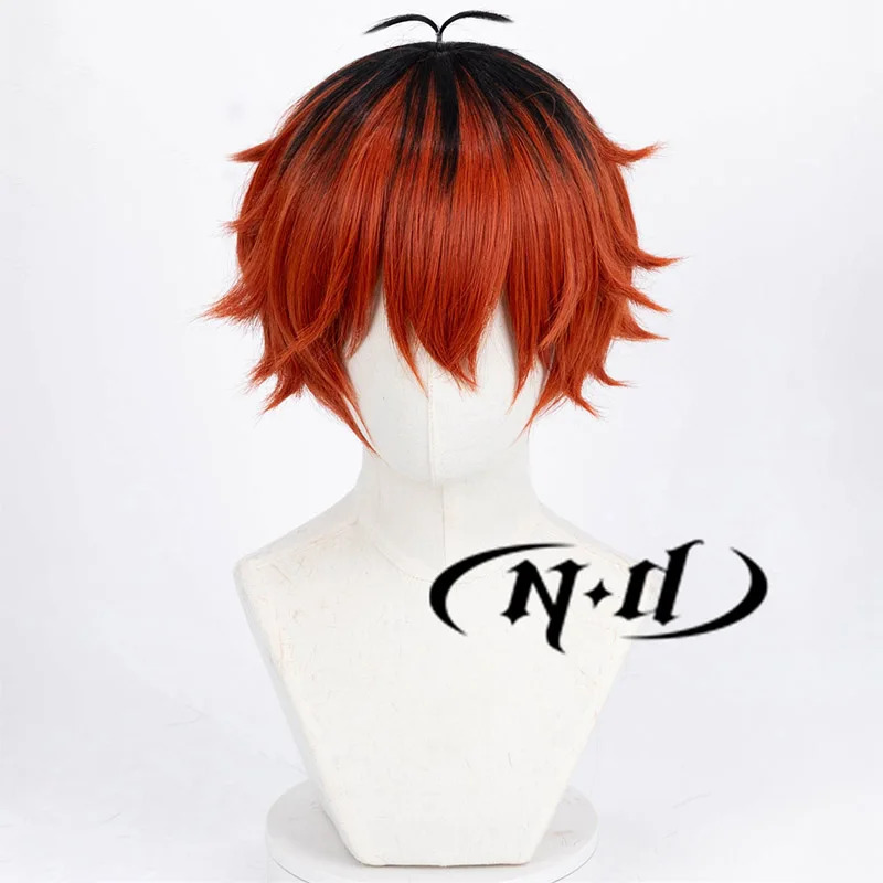 CyND Stark 코스프레 가발 Anime Frier - Anime Cosplay With Red Hair 리뷰 및 가격